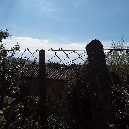 Villetta A Schiera Nei Pressi Del Mare Livorno Buitenkant foto